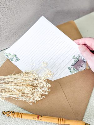 photo qui présente le papier à lettres "Jardin du chat lecteur" représentant un chat entrain de lire au milieu de la nature